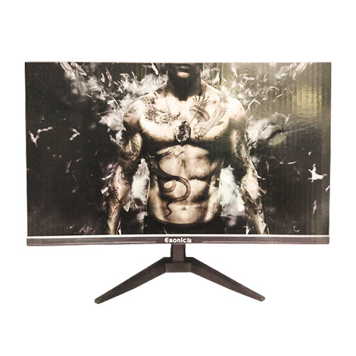 Esonic 22ELMW 22-Inch LED HD Monitor